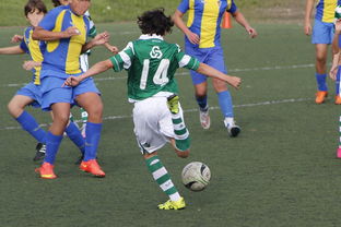 半岛体育入口-塔斯马尼亚联主场优势明显，球迷期待逆转奇迹